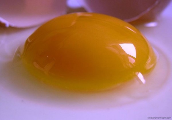 البيض والمايونيز لتغذية الشعر