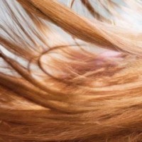 خمس خطوات لإختبار صحة شعرك