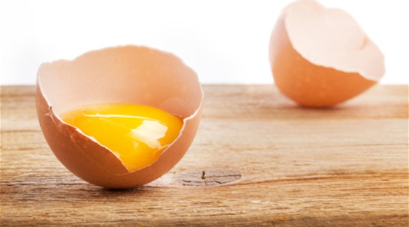 هل البيض مفيد حقاً؟