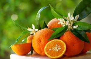 فوائد البرتقال الصحية 782078-300x197.jpg?_cfgetx=img.rx:300;img