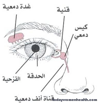 انسداد القناة الدمعية عند الاطفال وكيفية علاجها