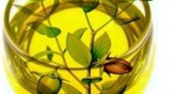 5 طرق فعالة لإستعمال زيت الجوجوبا