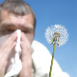 حساسية الأنف