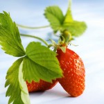 أخطاء علاج حب الشباب التى ترتكبينها بدون علم 