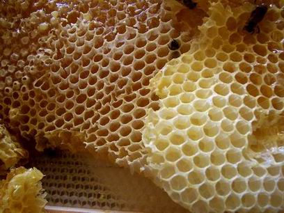 العسل قناع اساسى للبشرة