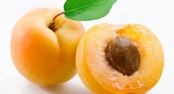 بعض فوائد المشمش الصحية