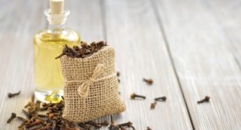 فوائد واستعمالات زيت القرنفل
