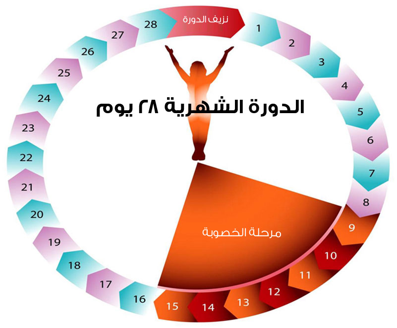 الدورة الشهرية.... سؤال وجواب !