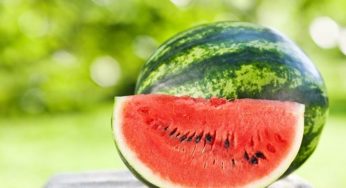 7 حقائق مذهلة عن البطيخ