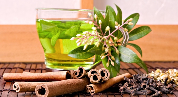 أفضل الأطعمة والأعشاب لتطهير دمك من السموم