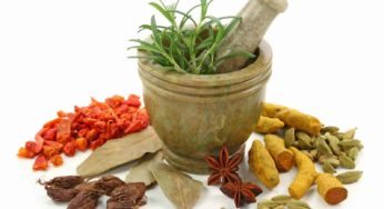 إنقاص وزن الجسم عن طريق الأعشاب