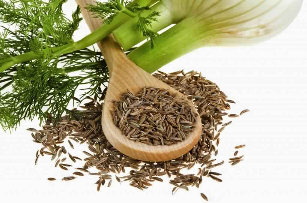فوائد الشمر للصحة والتخسيس