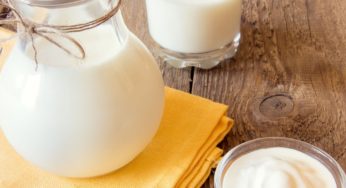 طريقة عمل الزبادي في المنزل
