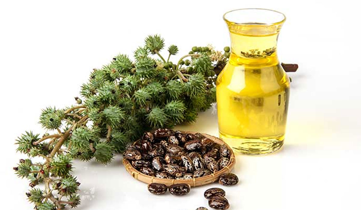 زيت الخروع أفضل زيت لتكثيف الشعر